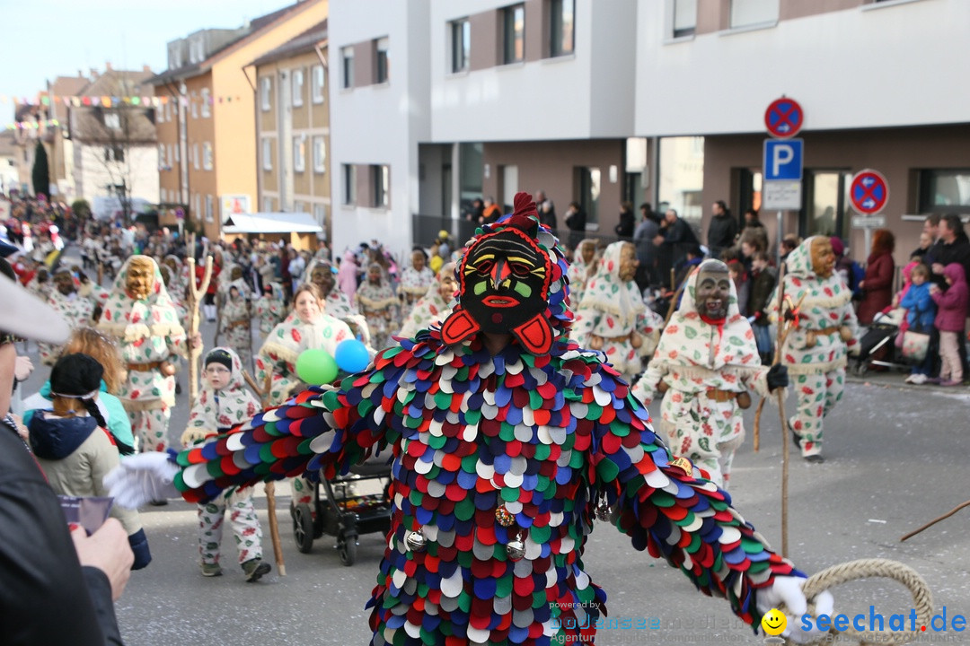 Narrenumzug: Friedrichshafen am Bodensee, 25.02.2017