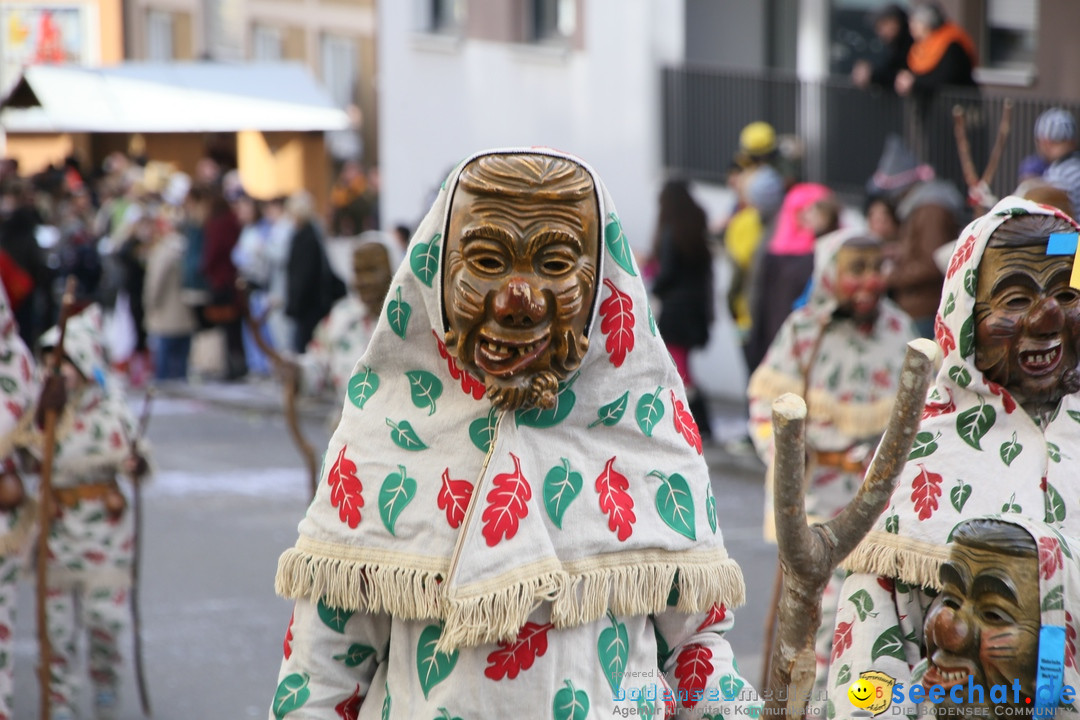 Narrenumzug: Friedrichshafen am Bodensee, 25.02.2017