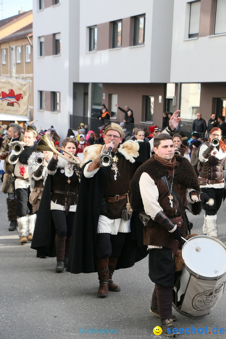 Narrenumzug: Friedrichshafen am Bodensee, 25.02.2017