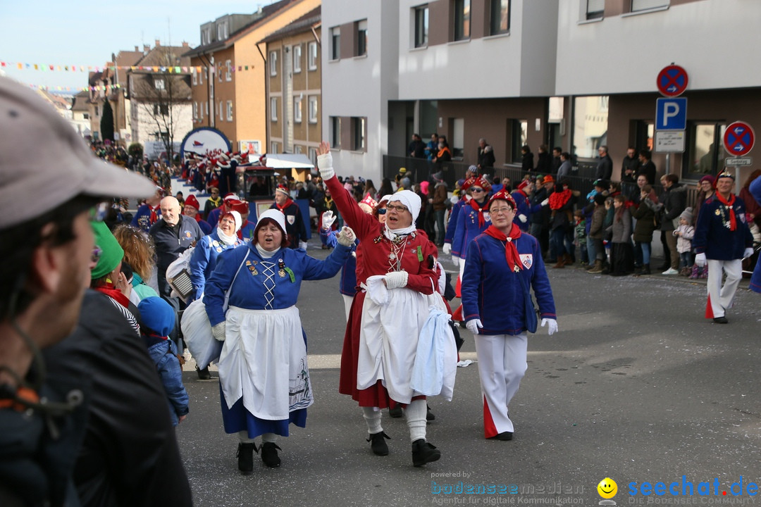 Narrenumzug: Friedrichshafen am Bodensee, 25.02.2017