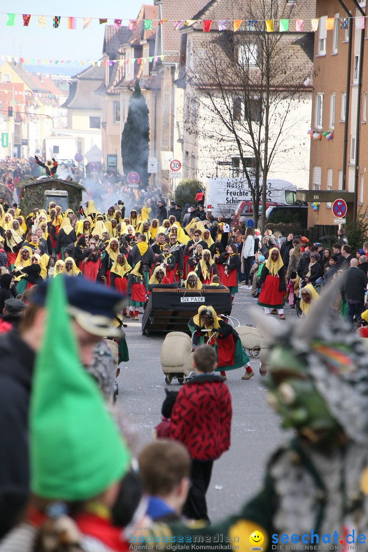 Narrenumzug: Friedrichshafen am Bodensee, 25.02.2017