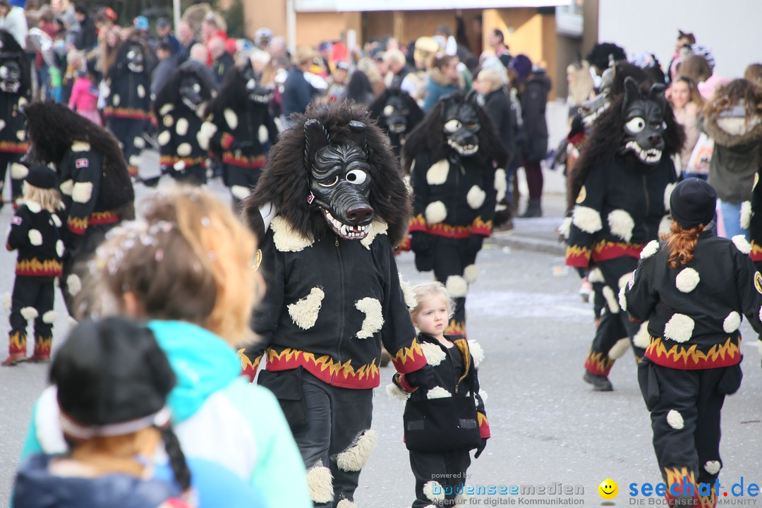 Narrenumzug: Friedrichshafen am Bodensee, 25.02.2017