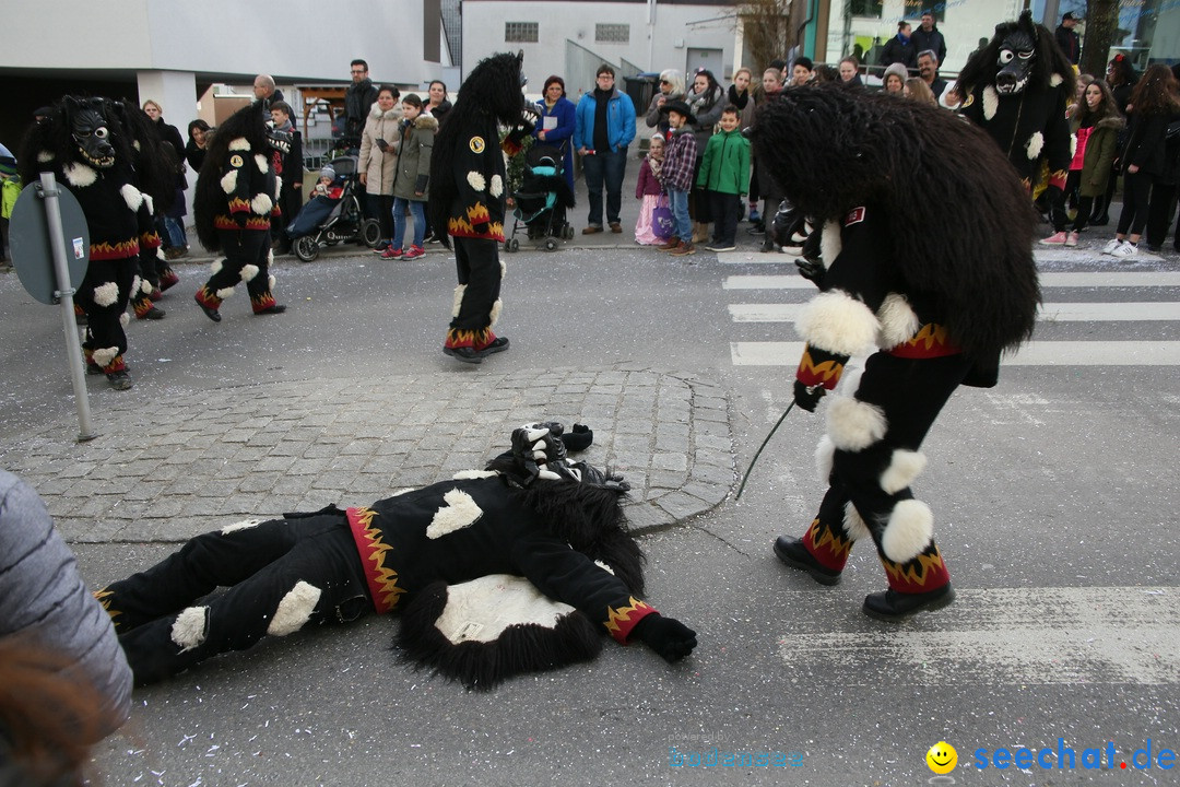 Narrenumzug: Friedrichshafen am Bodensee, 25.02.2017