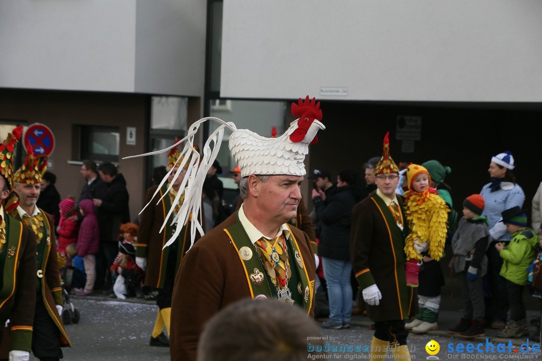 Narrenumzug: Friedrichshafen am Bodensee, 25.02.2017