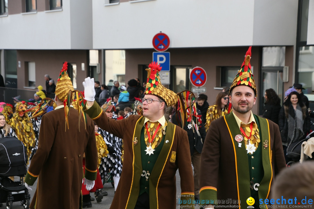 Narrenumzug: Friedrichshafen am Bodensee, 25.02.2017