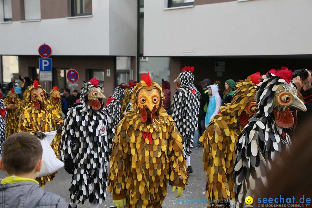 Narrenumzug: Friedrichshafen am Bodensee, 25.02.2017