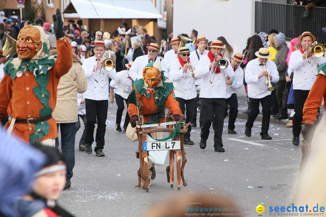 Narrenumzug: Friedrichshafen am Bodensee, 25.02.2017