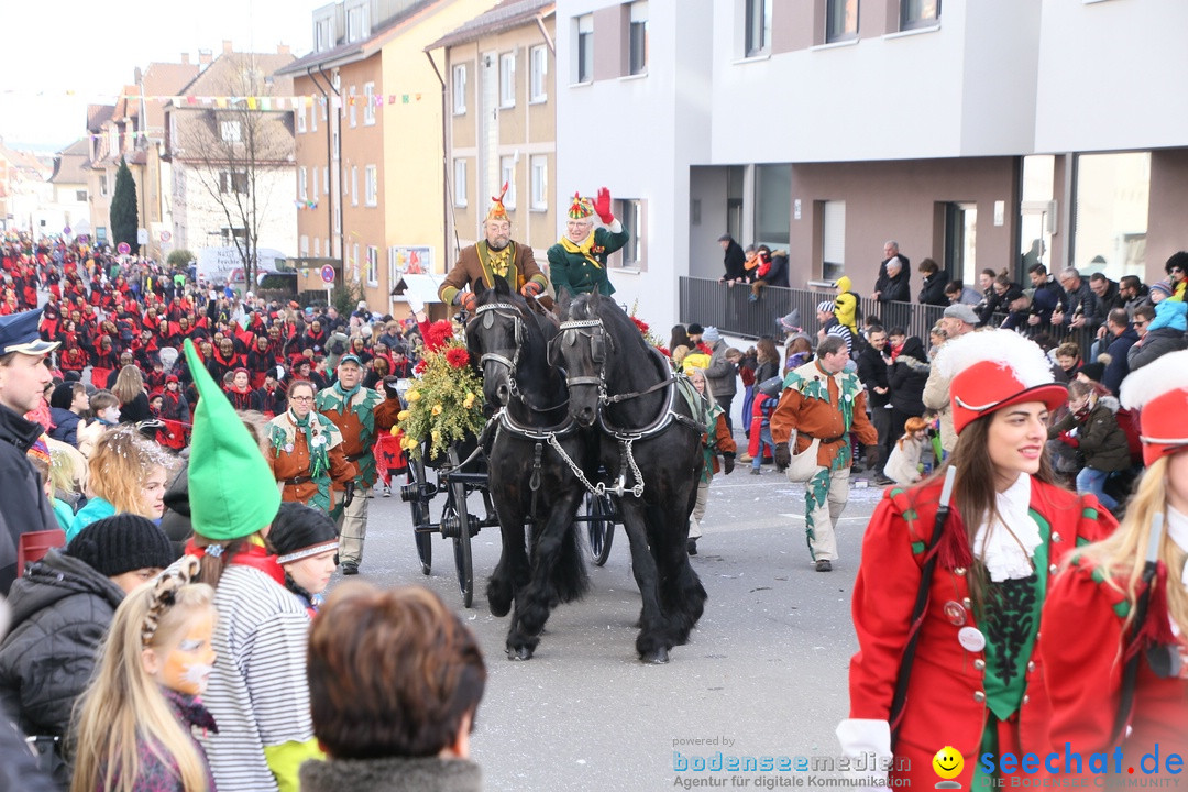 Narrenumzug: Friedrichshafen am Bodensee, 25.02.2017