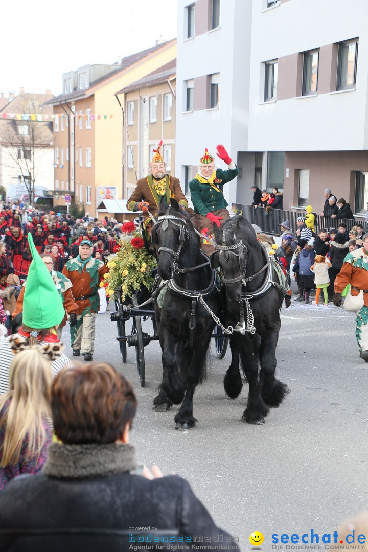 Narrenumzug: Friedrichshafen am Bodensee, 25.02.2017