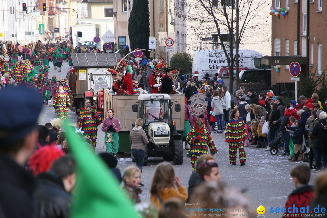 Narrenumzug: Friedrichshafen am Bodensee, 25.02.2017
