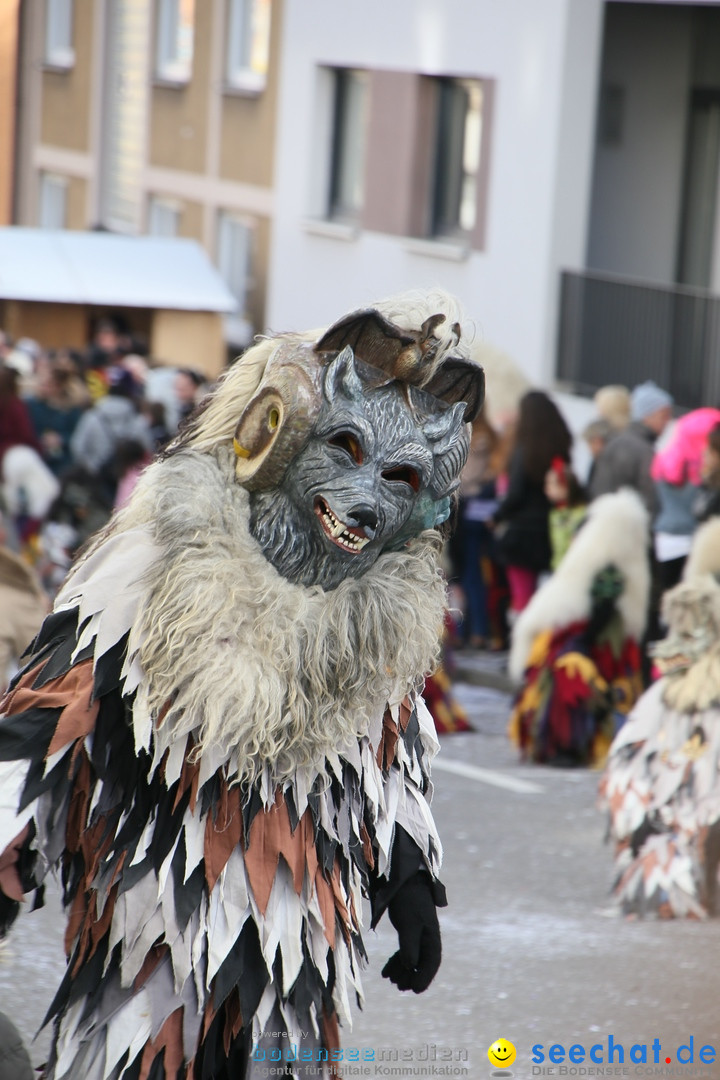 Narrenumzug: Friedrichshafen am Bodensee, 25.02.2017