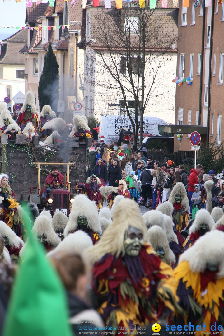 Narrenumzug: Friedrichshafen am Bodensee, 25.02.2017