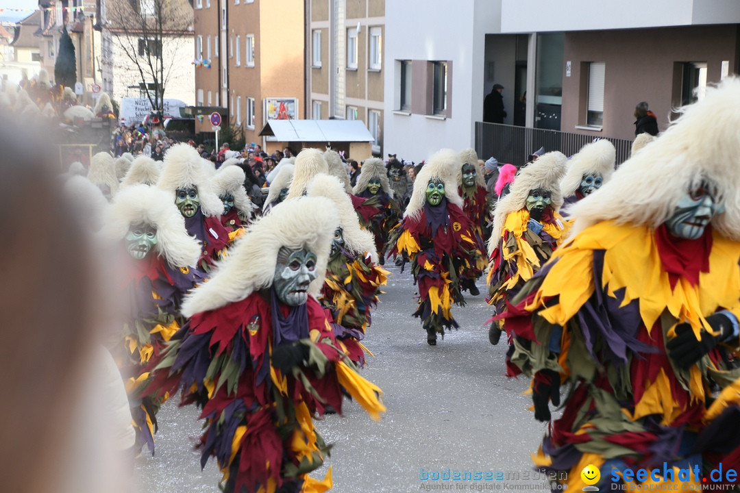 Narrenumzug: Friedrichshafen am Bodensee, 25.02.2017