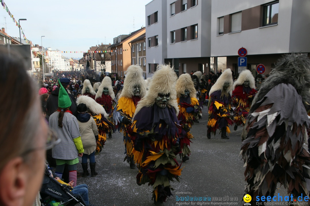 Narrenumzug: Friedrichshafen am Bodensee, 25.02.2017