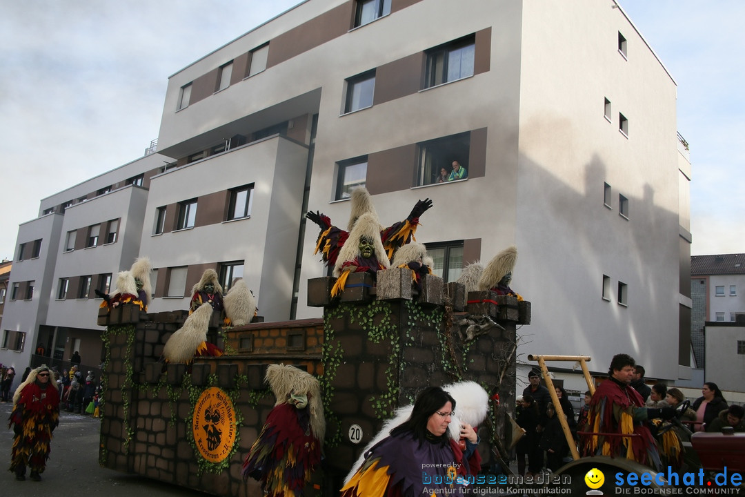 Narrenumzug: Friedrichshafen am Bodensee, 25.02.2017
