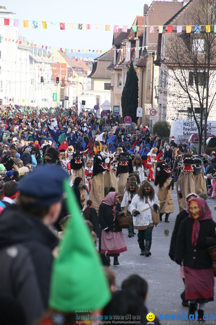 Narrenumzug: Friedrichshafen am Bodensee, 25.02.2017