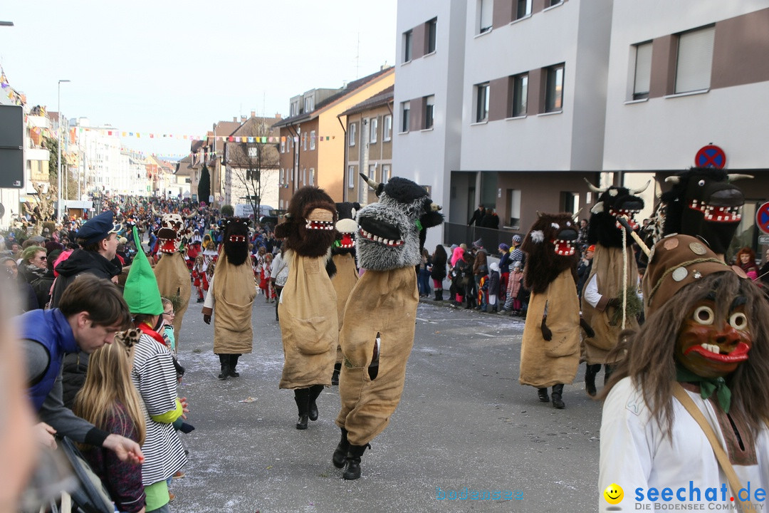 Narrenumzug: Friedrichshafen am Bodensee, 25.02.2017