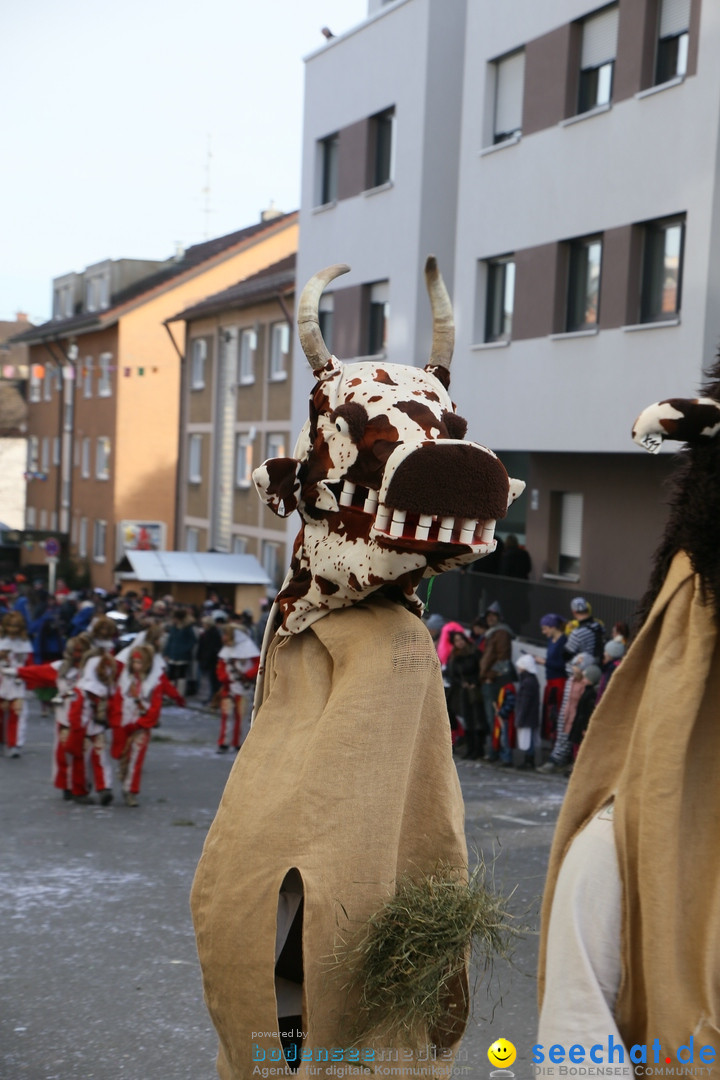 Narrenumzug: Friedrichshafen am Bodensee, 25.02.2017