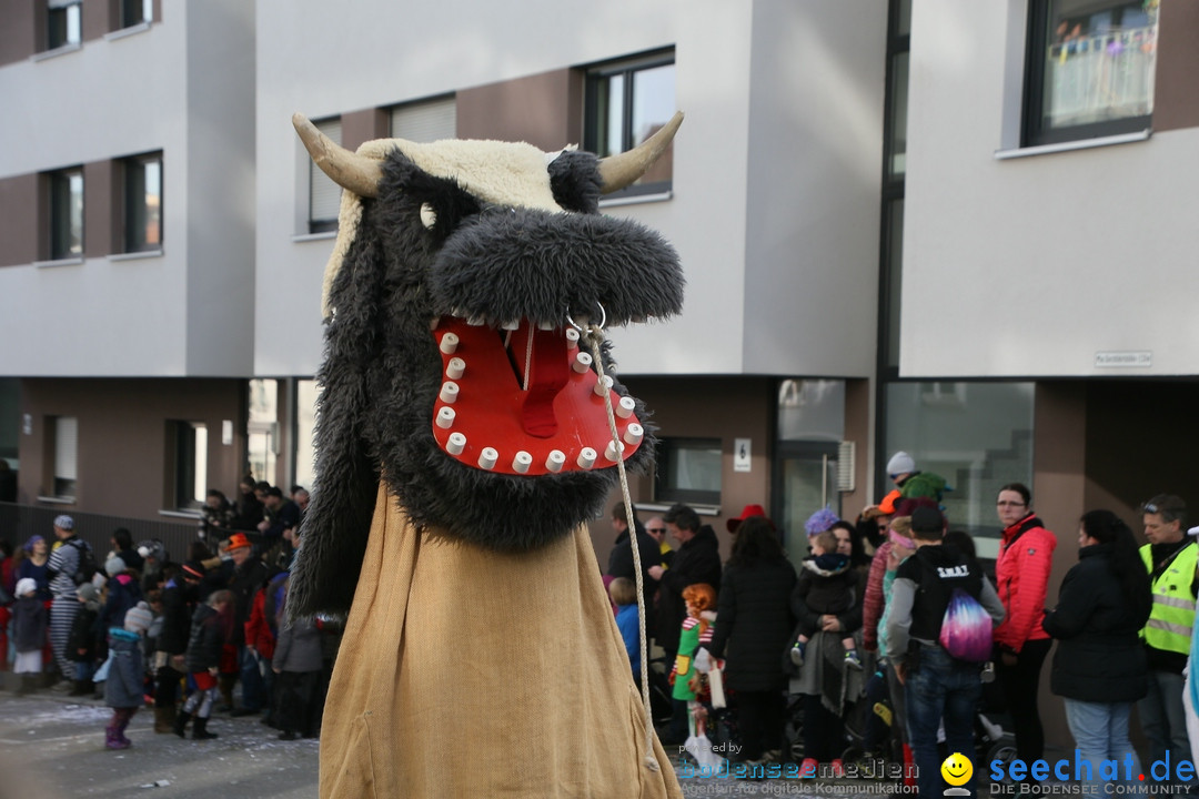 Narrenumzug: Friedrichshafen am Bodensee, 25.02.2017