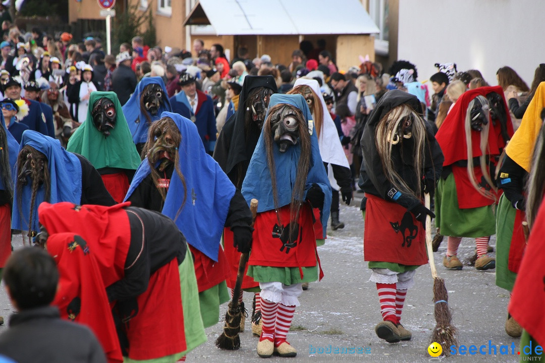 Narrenumzug: Friedrichshafen am Bodensee, 25.02.2017