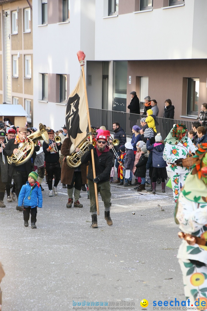Narrenumzug: Friedrichshafen am Bodensee, 25.02.2017
