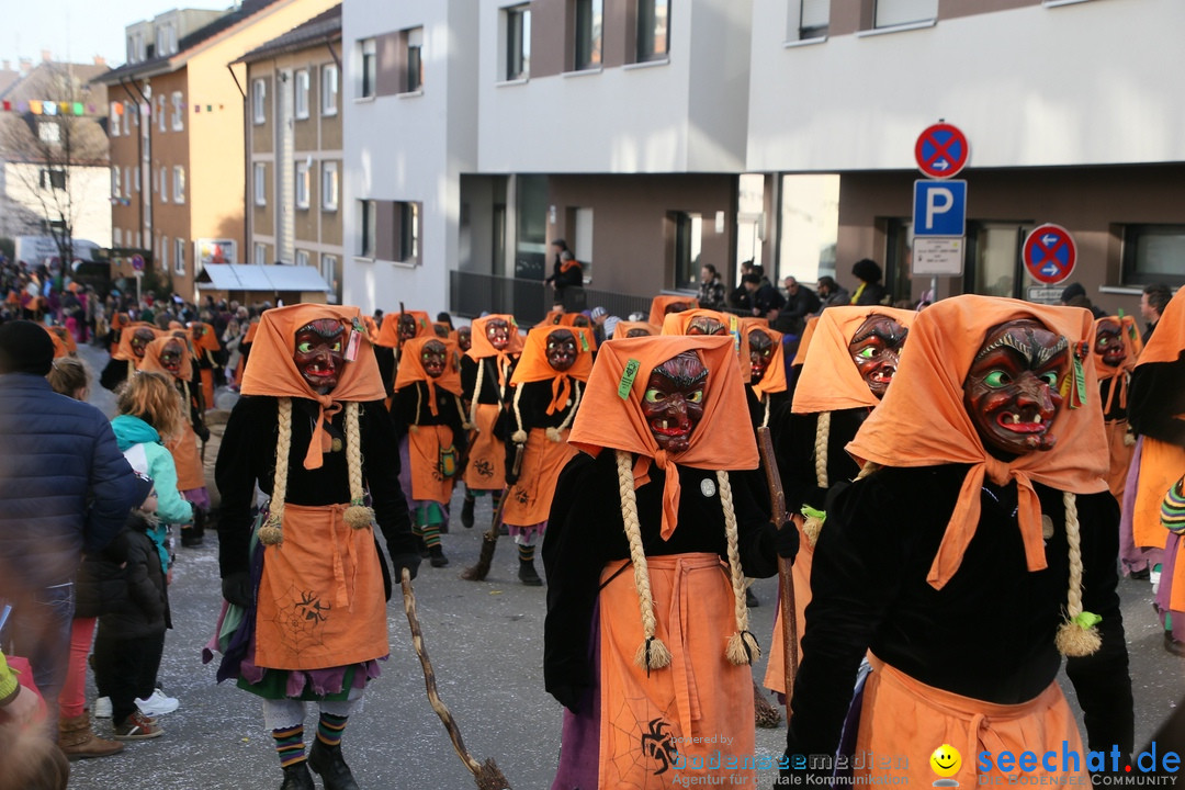 Narrenumzug: Friedrichshafen am Bodensee, 25.02.2017