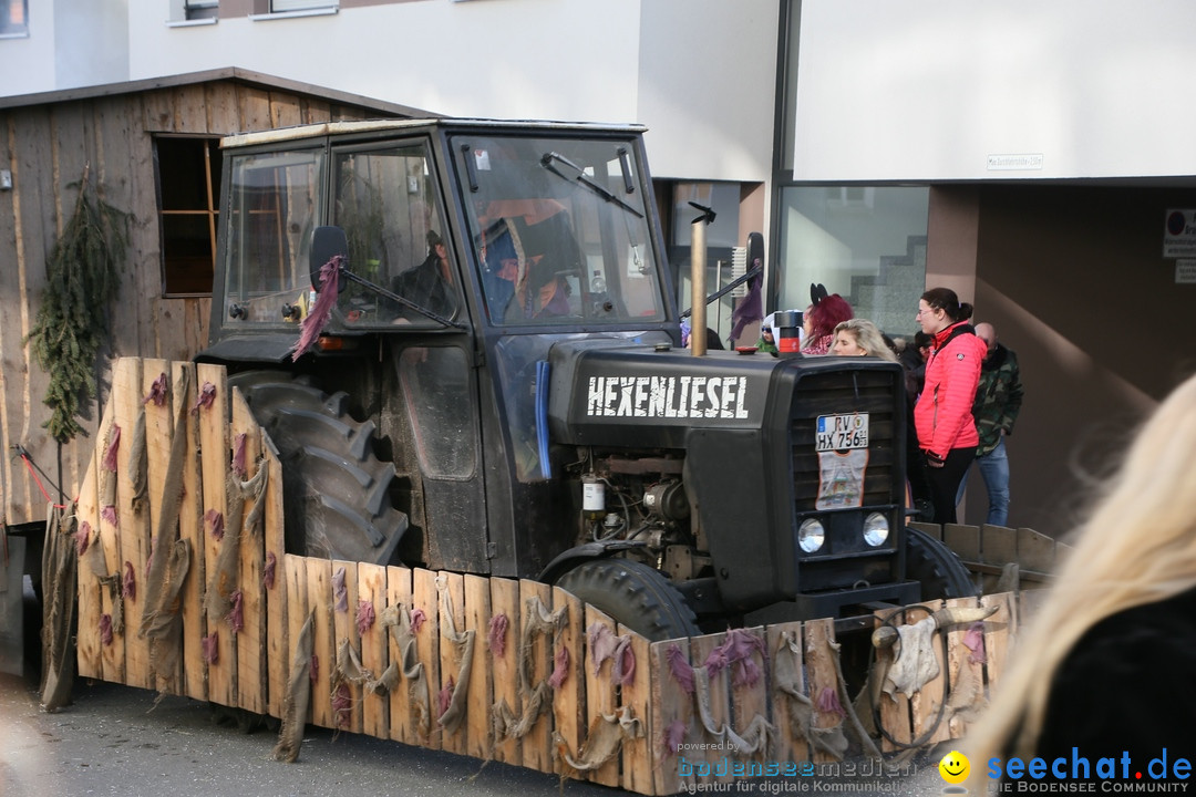 Narrenumzug: Friedrichshafen am Bodensee, 25.02.2017