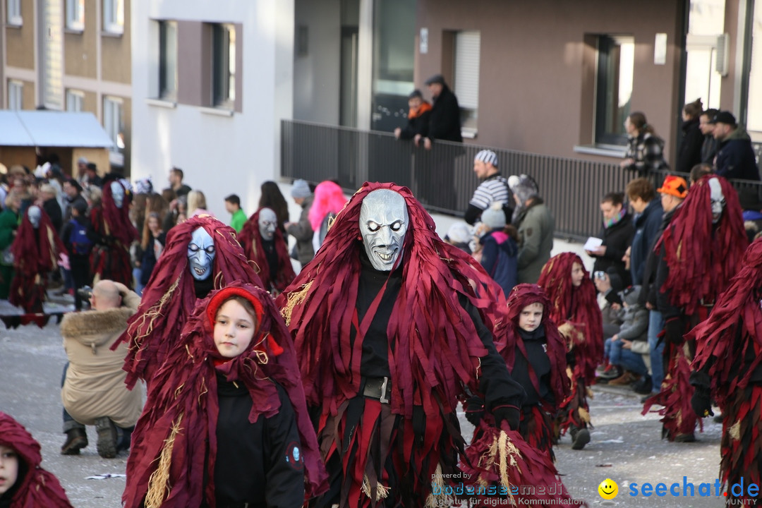 Narrenumzug: Friedrichshafen am Bodensee, 25.02.2017