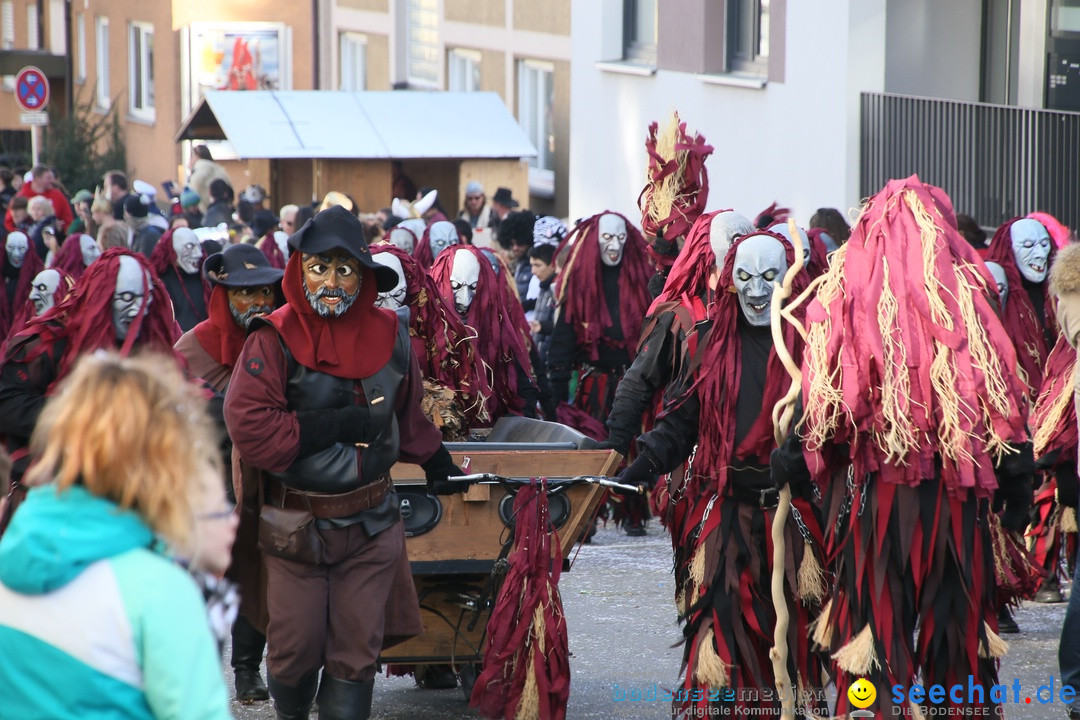 Narrenumzug: Friedrichshafen am Bodensee, 25.02.2017