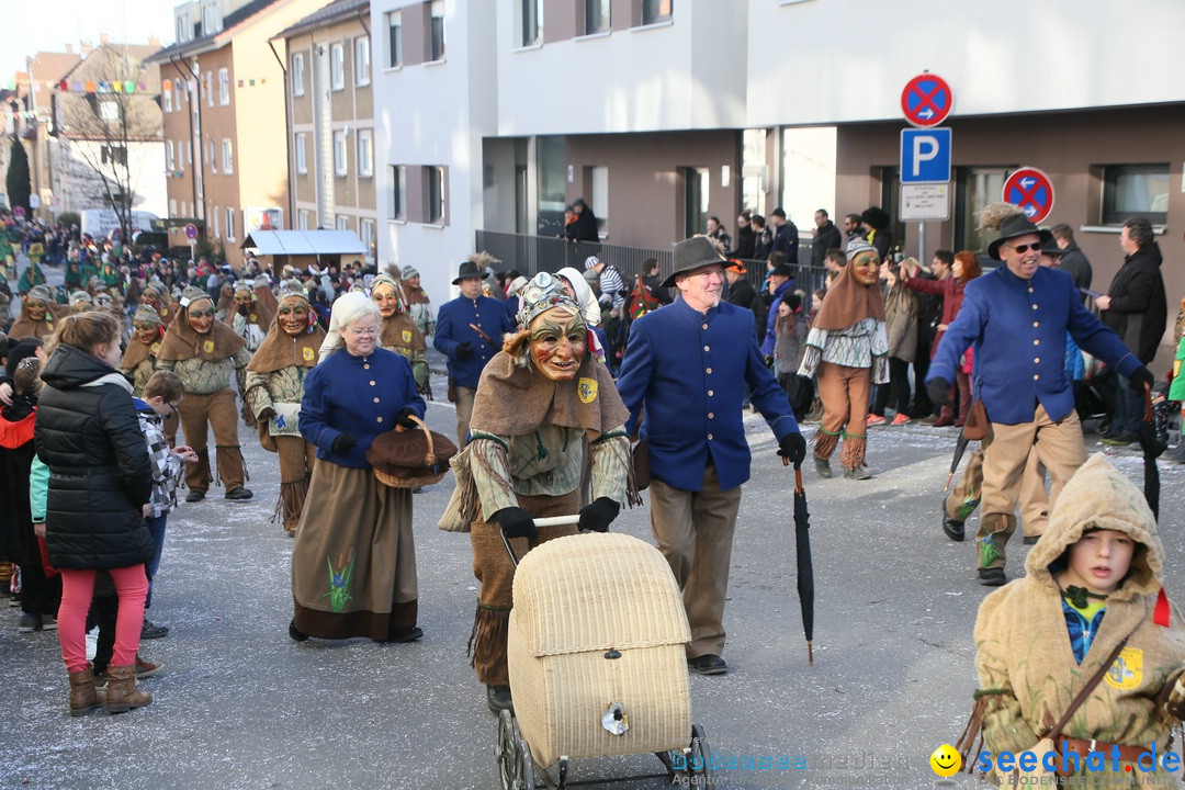 Narrenumzug: Friedrichshafen am Bodensee, 25.02.2017