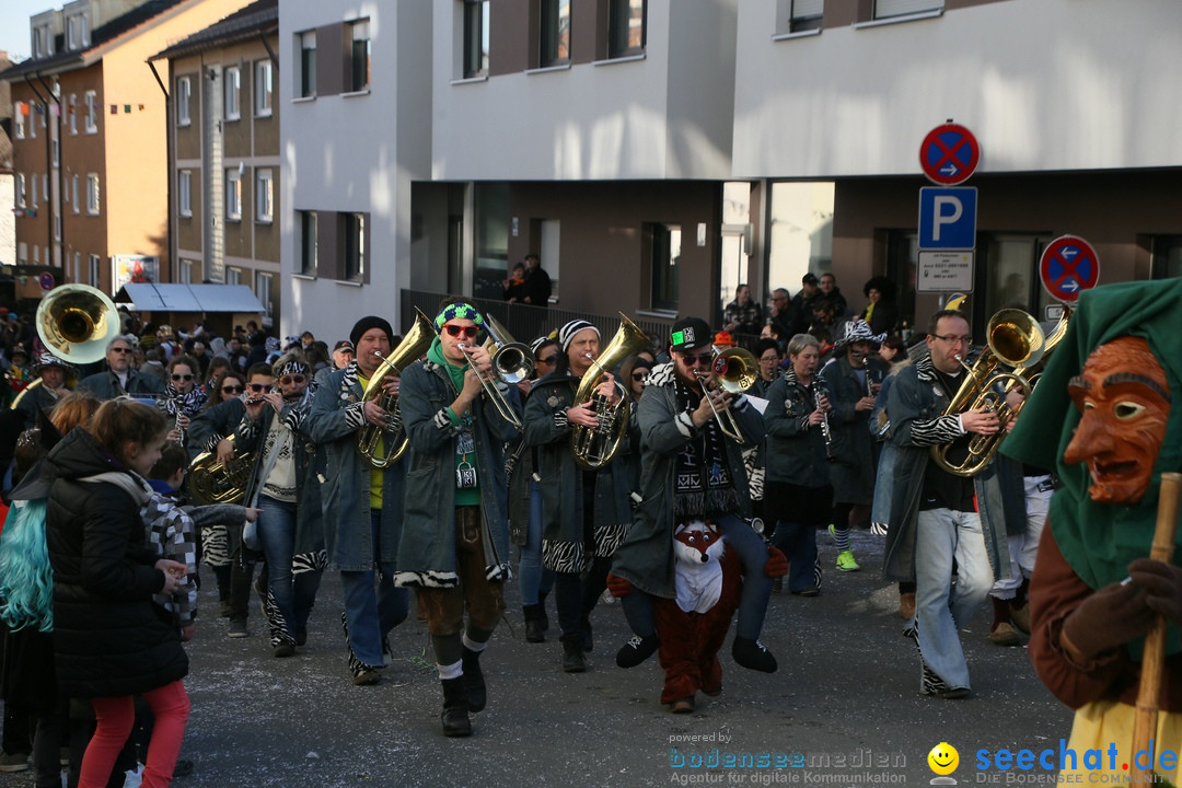 Narrenumzug: Friedrichshafen am Bodensee, 25.02.2017