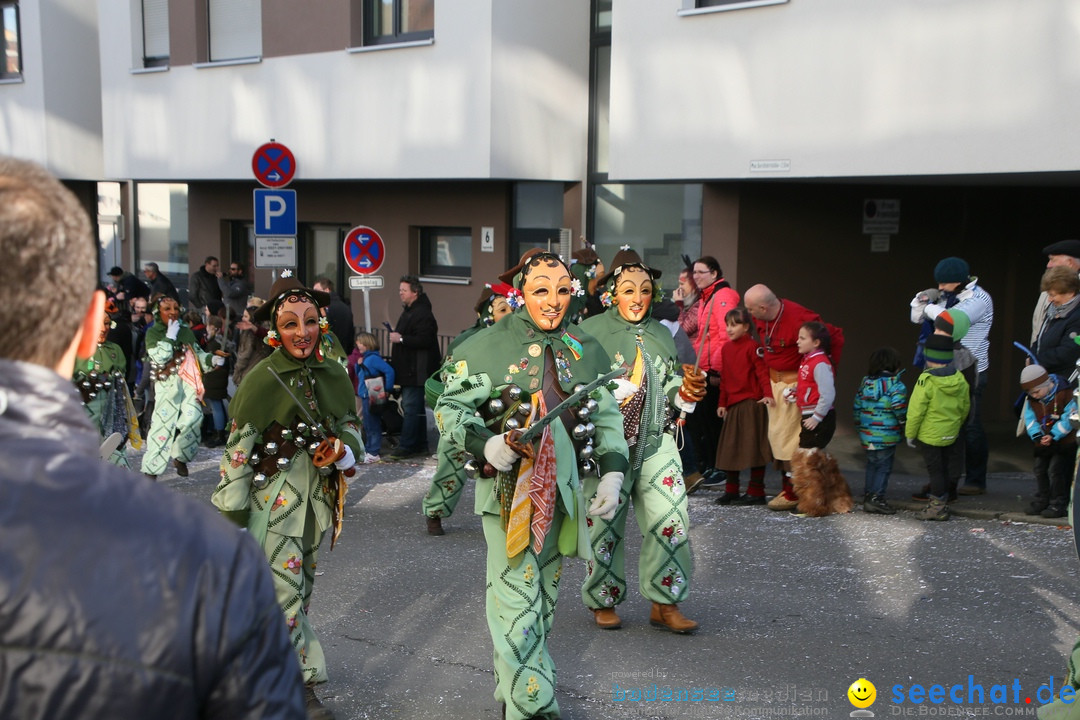 Narrenumzug: Friedrichshafen am Bodensee, 25.02.2017