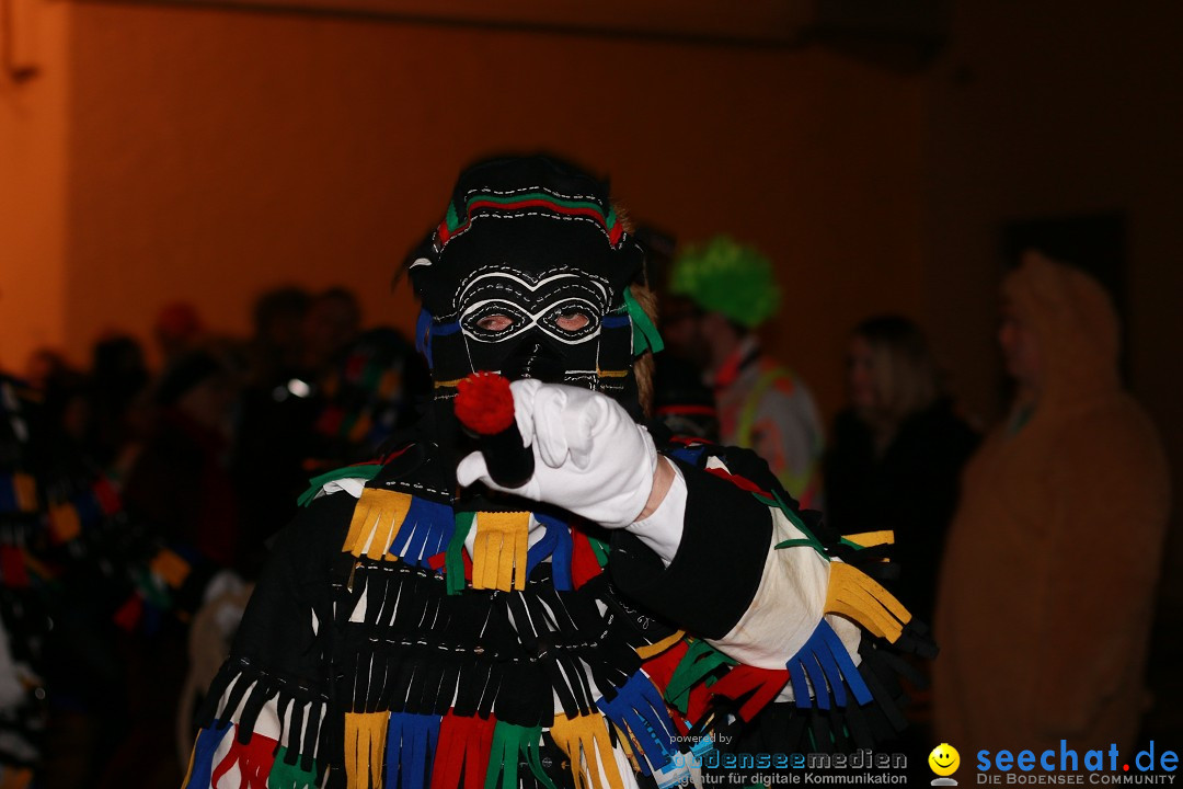 H_nselejuck-_berlingen-25-02-2017-Bodensee-Community-SEECHAT_de-IMG_2770.JPG