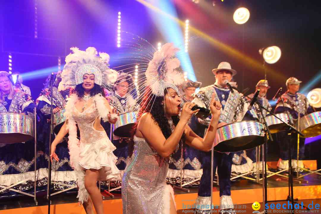 Naerrischer_Ohrwurm-Singen-260217-Bodensee_Community-seechat_de-IMG_3243.jpg