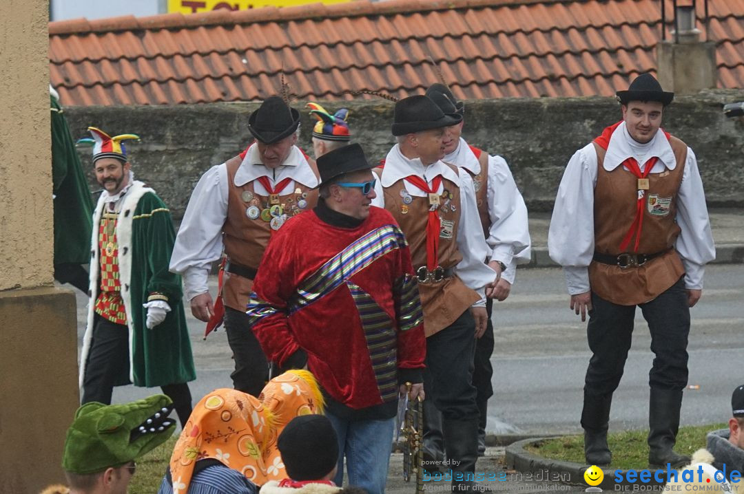 Fasnetsumzug - Fasching: Stockach am Bodensee, 28.02.2017