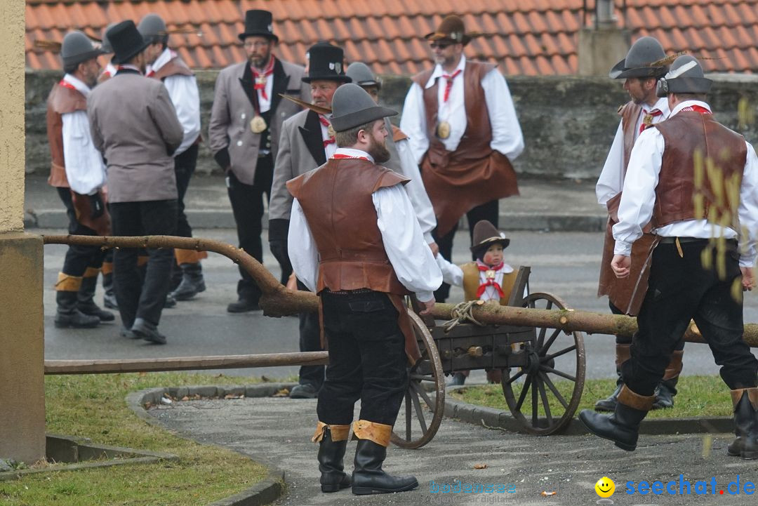 Fasnetsumzug - Fasching: Stockach am Bodensee, 28.02.2017