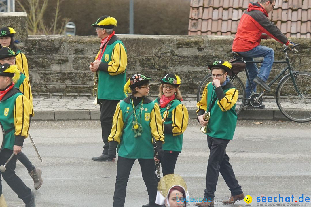 Fasnetsumzug - Fasching: Stockach am Bodensee, 28.02.2017