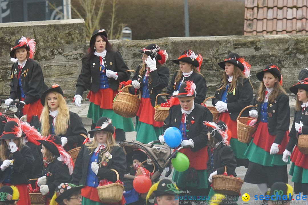 Fasnetsumzug - Fasching: Stockach am Bodensee, 28.02.2017