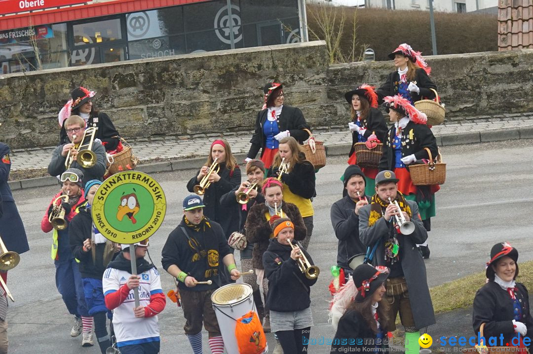 Fasnetsumzug - Fasching: Stockach am Bodensee, 28.02.2017