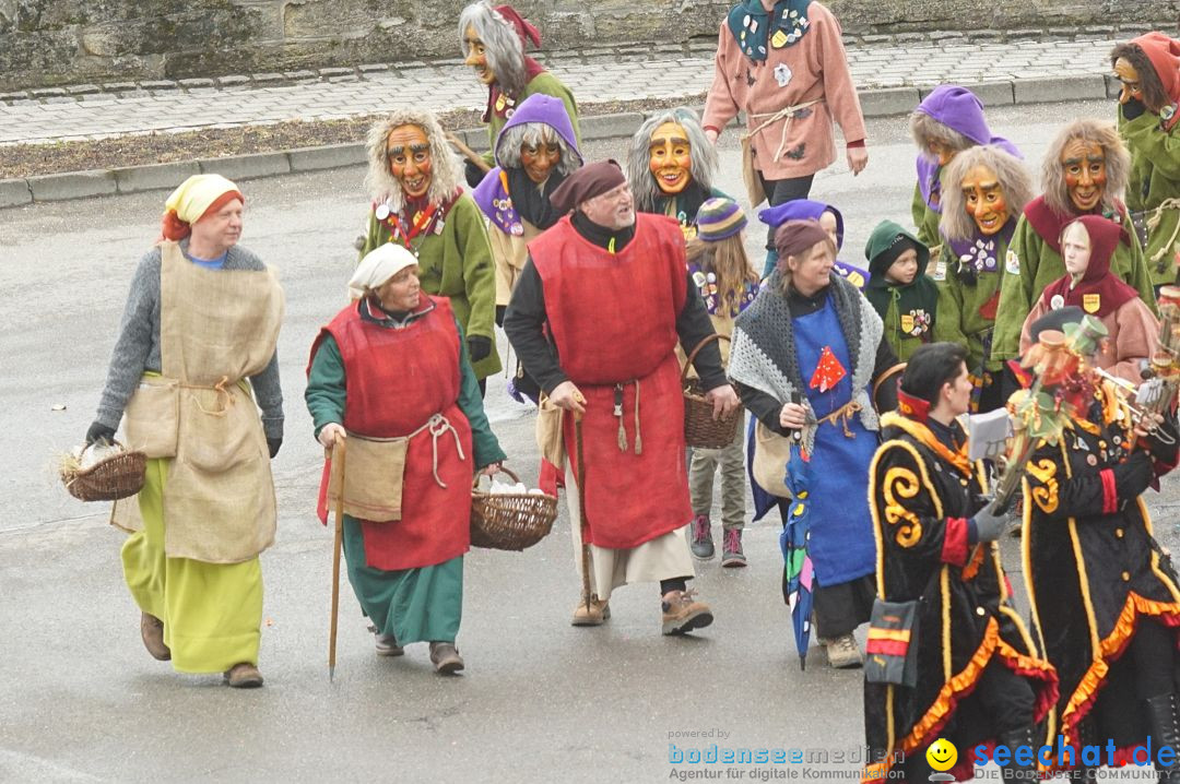 Fasnetsumzug - Fasching: Stockach am Bodensee, 28.02.2017