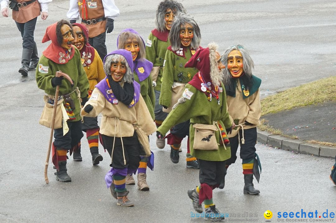 Fasnetsumzug - Fasching: Stockach am Bodensee, 28.02.2017