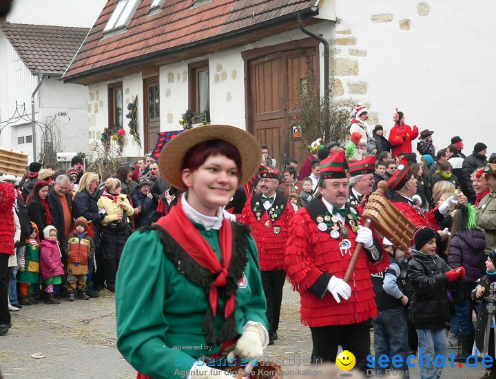 Narrenumzug: Eigeltingen, 24.01.2010