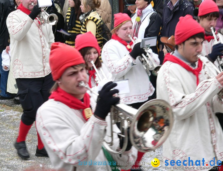 Narrenumzug: Eigeltingen, 24.01.2010