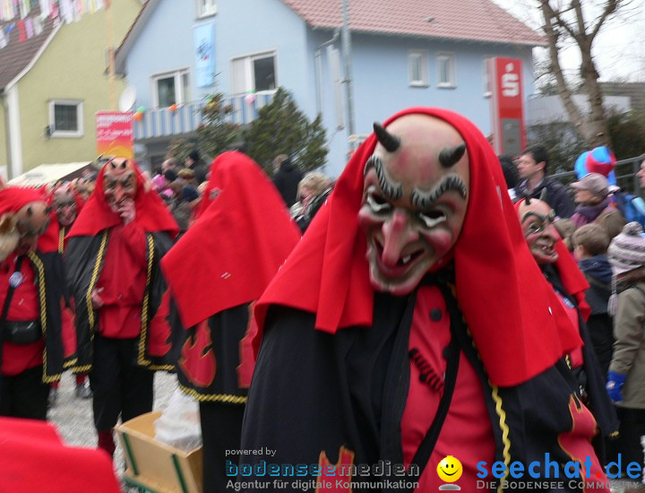 Narrenumzug: Eigeltingen, 24.01.2010