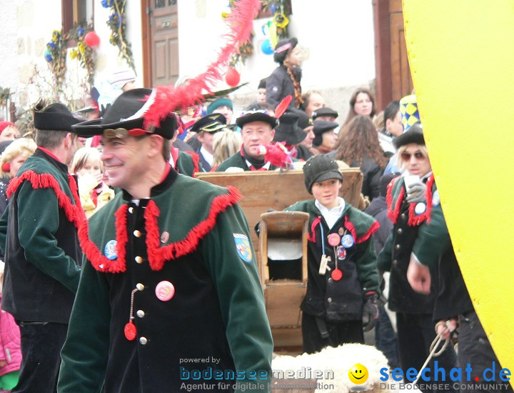 Narrenumzug: Eigeltingen, 24.01.2010