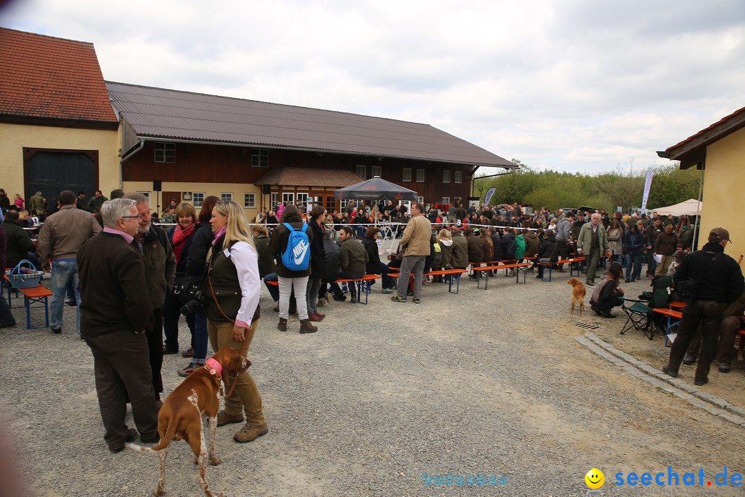 Jagdhundetag Dornsberg der Landesjagdschule: Eigeltingen, 23.04.2017