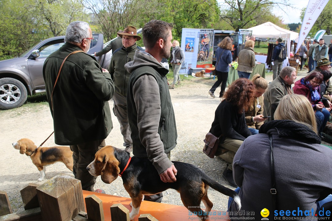 Jagdhundetag Dornsberg der Landesjagdschule: Eigeltingen, 23.04.2017