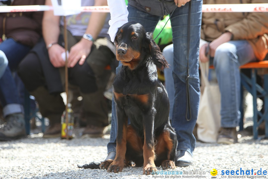 Jagdhundetag Dornsberg der Landesjagdschule: Eigeltingen, 23.04.2017