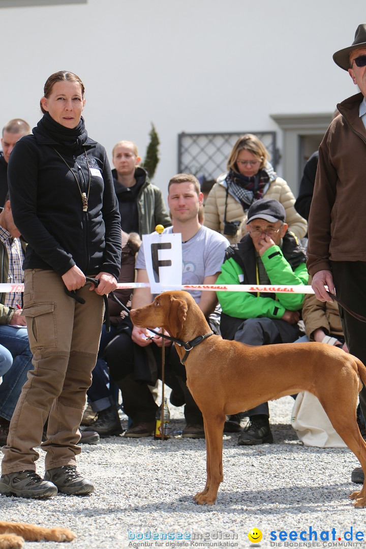Jagdhundetag Dornsberg der Landesjagdschule: Eigeltingen, 23.04.2017