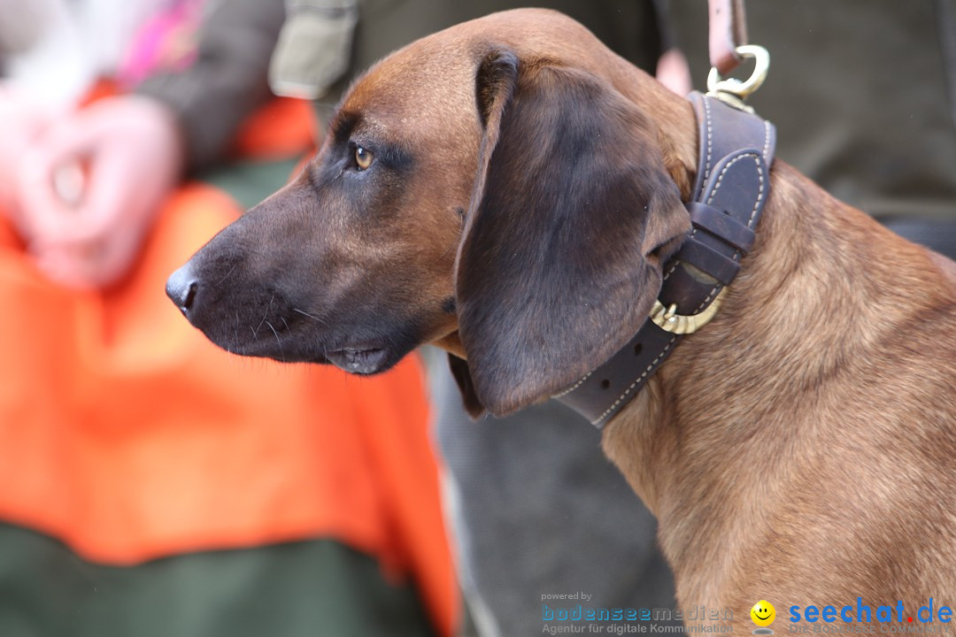 Jagdhundetag Dornsberg der Landesjagdschule: Eigeltingen, 23.04.2017
